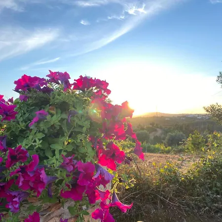 Casa Do Calhau - Al Feriehus Hombres