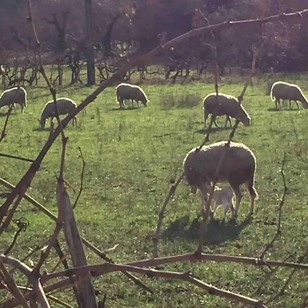 Casa Do Calhau - Al *